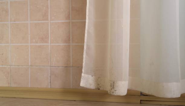 Best Environmental Consulting for Mold Prevention  in Valencia West, AZ