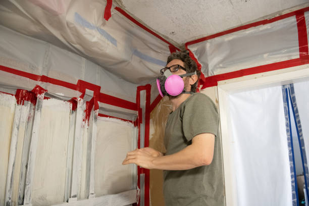 Best Indoor Air Quality Assessment  in Valencia West, AZ