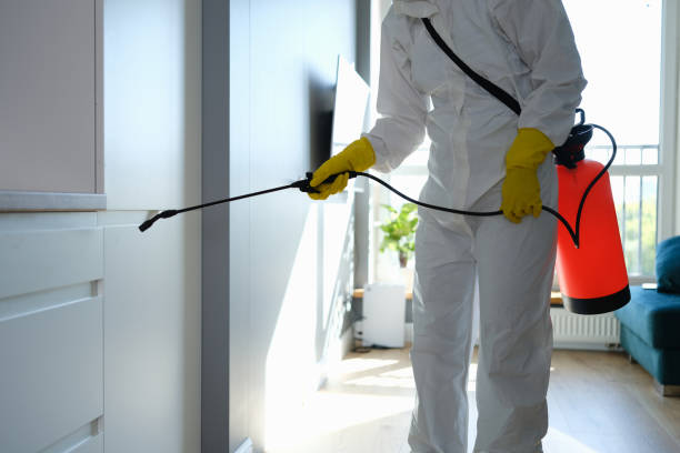 Best Airborne Mold Testing  in Valencia West, AZ