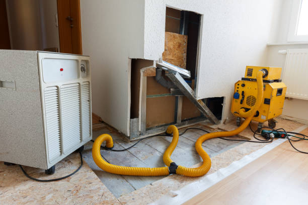 Best Commercial Mold Inspection  in Valencia West, AZ