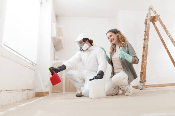 Best Basement Mold Removal  in Valencia West, AZ